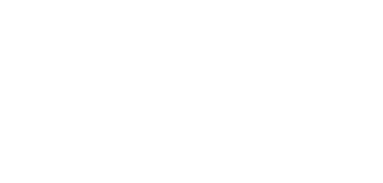 Burgi