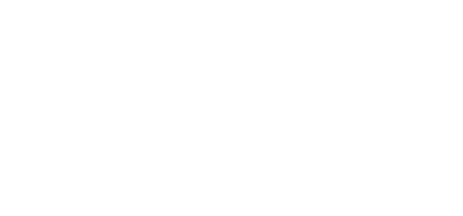 Pinion