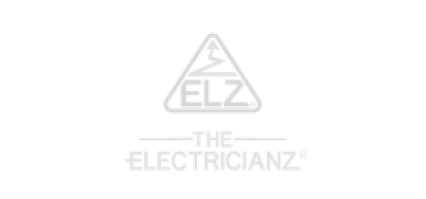 THE ELECTRICIANZ