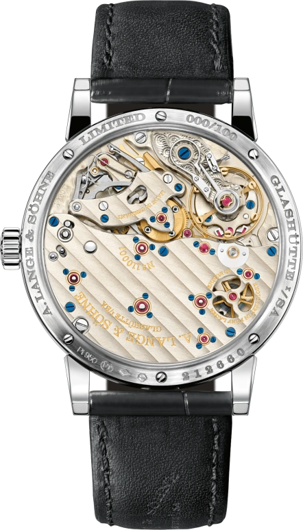 A. Lange & Söhne,Richard Lange 40mm,40mm,Platinum,White,Handwound,Power Reserve Indicator,Jumping Seconds,Flyback,Constant Force Mechanism,42hours,In-house Caliber,252,252.025