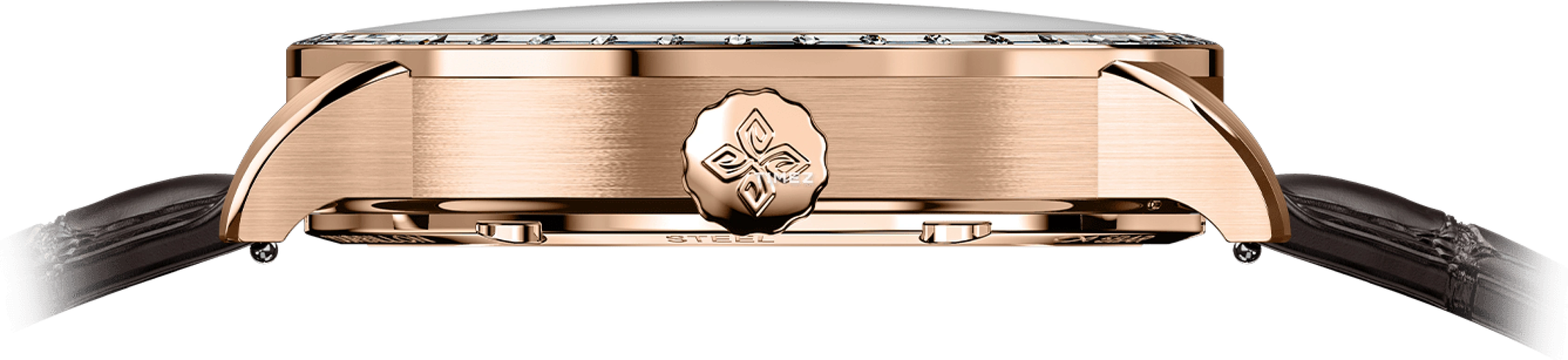 Agelocer,Tourbillon 40mm,40mm,Stainless Steel,Crystal,Skeleton,Handwound,Tourbillon,Sapphire,Crystal Glass,9001F2