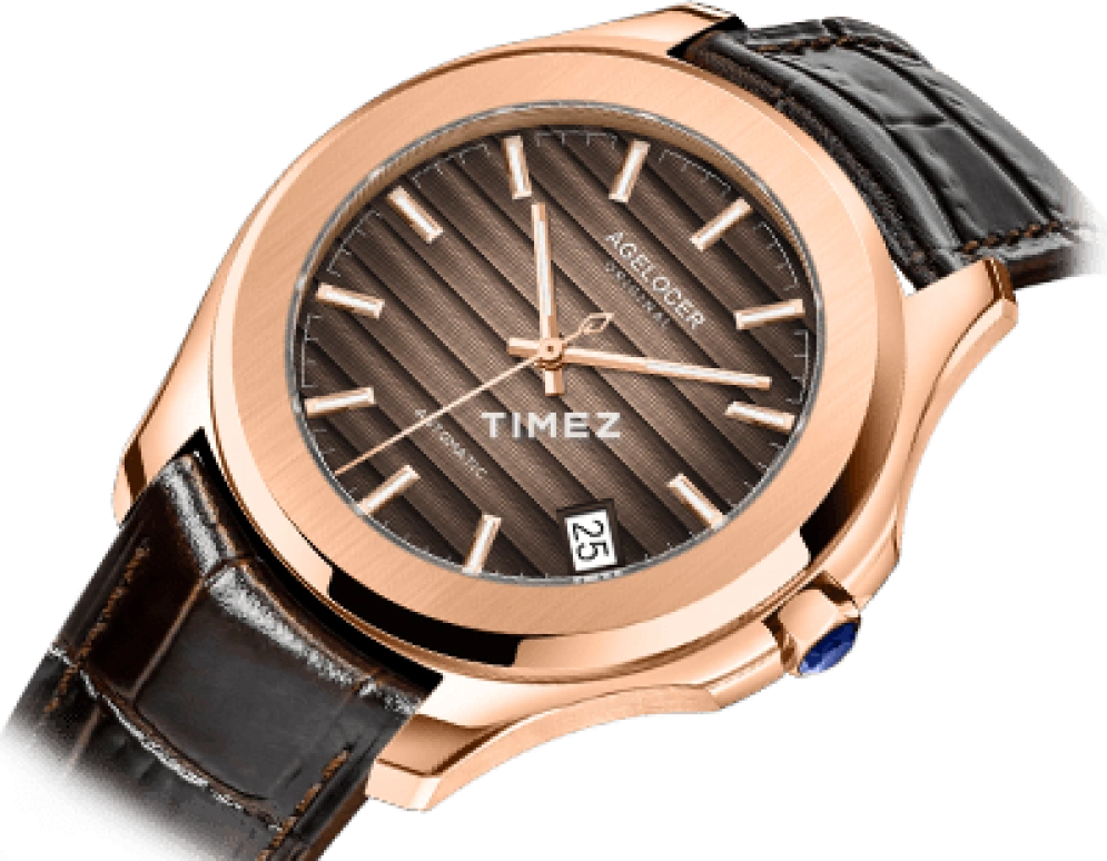 Agelocer,Baikal 40mm,40mm,Stainless Steel,Brown,Automatic,Day,Sapphire,Crystal Glass,6303D2