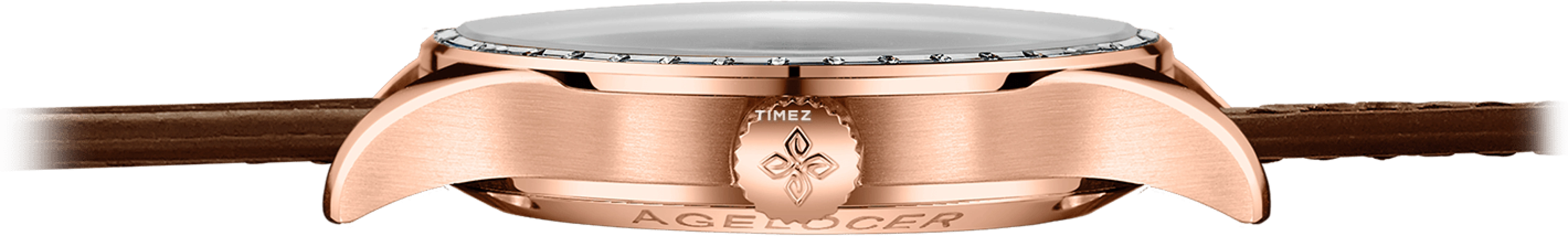Agelocer,Schwarzwald 41mm,41mm,Stainless Steel,Crystal,Skeleton,Automatic,Sapphire,Crystal Glass,Round,6104F2