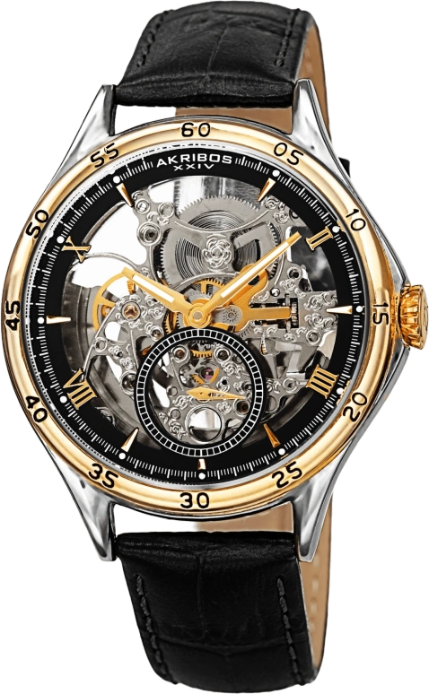 Akribos XXIV Men’s Watches AK1066BKG