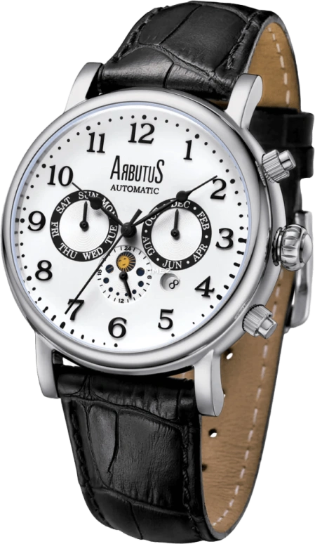 Arbutus Urban Explorer AR1711SWB