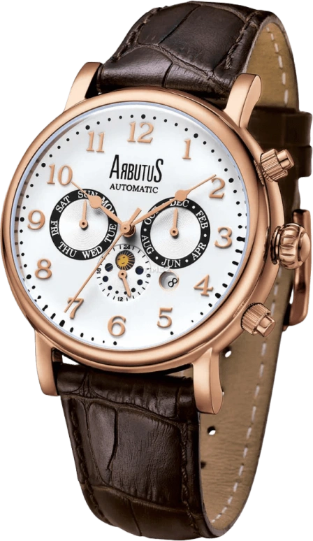 Arbutus Urban Explorer AR1711RWF