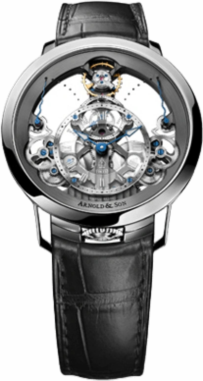 Arnold & Son,Instrument 44.60mm,44.60mm,Stainless Steel,Skeleton,Automatic,50hours,In-house Caliber,1TPAS,1TPAS.S01A.C124S