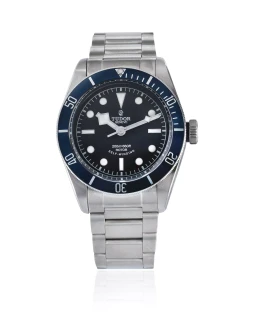Sample photo of Tudor79220B at Bonhams Luxury Online