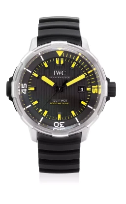Sample photo of IWCIW3580-01 at Phillips The Hong Kong Watch AuctionHong Kong Auction