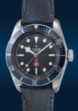Sample photo of tudor79220b at Phillips The Hong Kong Watch Auction: XVIII