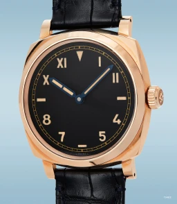 Sample photo of PaneraiPAM00740 at Phillips The 2021 New York Watch Auction
