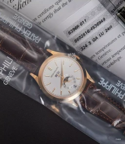 Sample photo of Patek Philippe5396R at Phillips Racing PulseNew York Auction