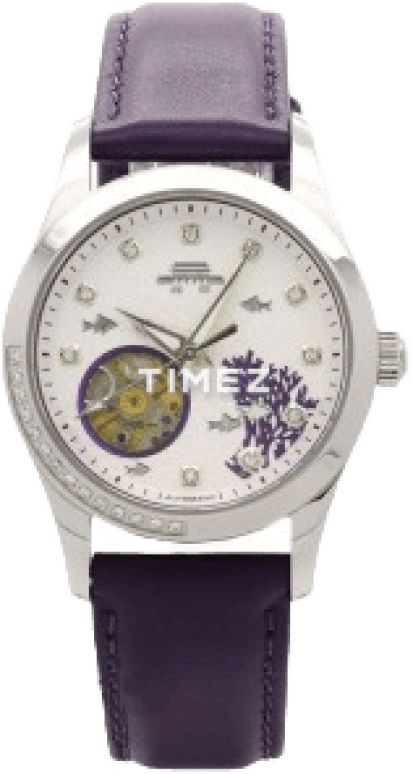 Beijing Watch Mechanical B081201201S