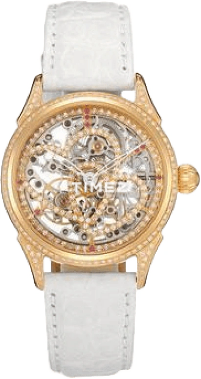 Beijing Watch Mechanical B017200902Y