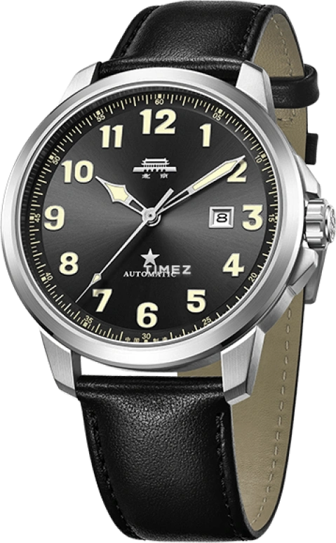 Beijing Watch,Replica 45mm,45mm,Stainless Steel,Black,Automatic,Day,Sapphire,BG580508
