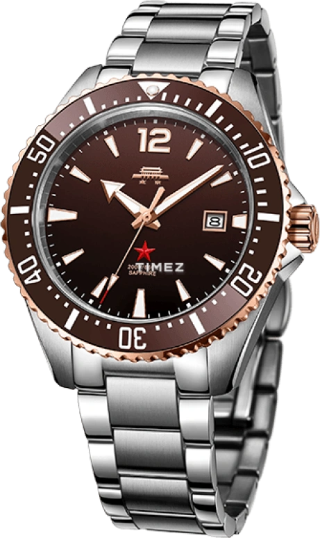 Beijing Watch,Expedition 42mm,42mm,Stainless Steel,Black,Automatic,Day,Sapphire,BG220010