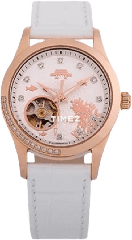 Beijing Watch Mechanical B14E054015.03