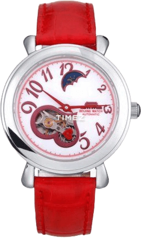 Beijing Watch Mechanical B053200908S
