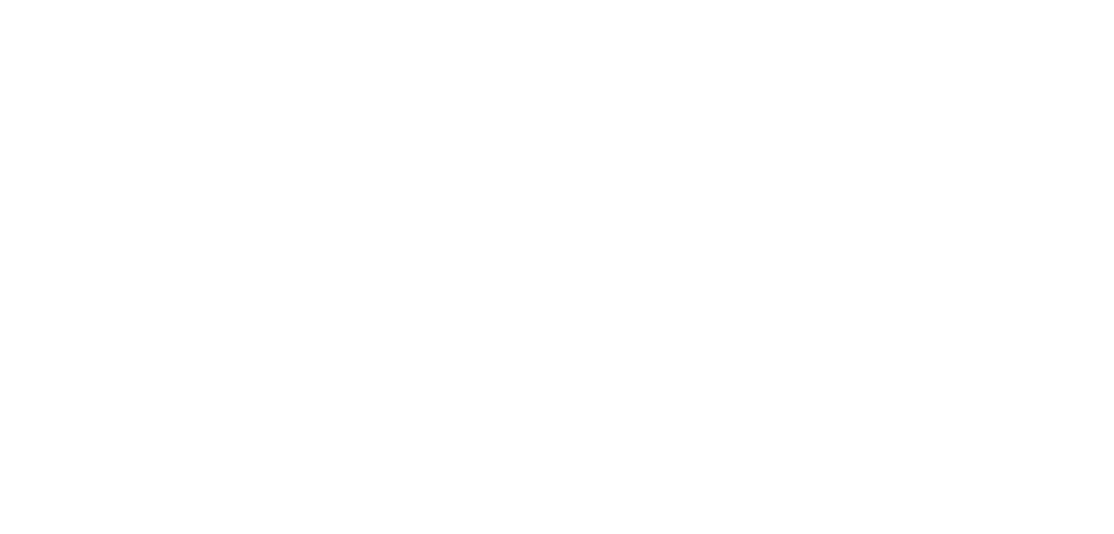 Burgi