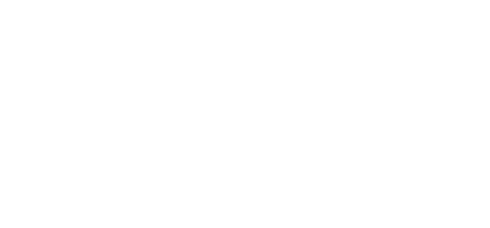 Itay Noy