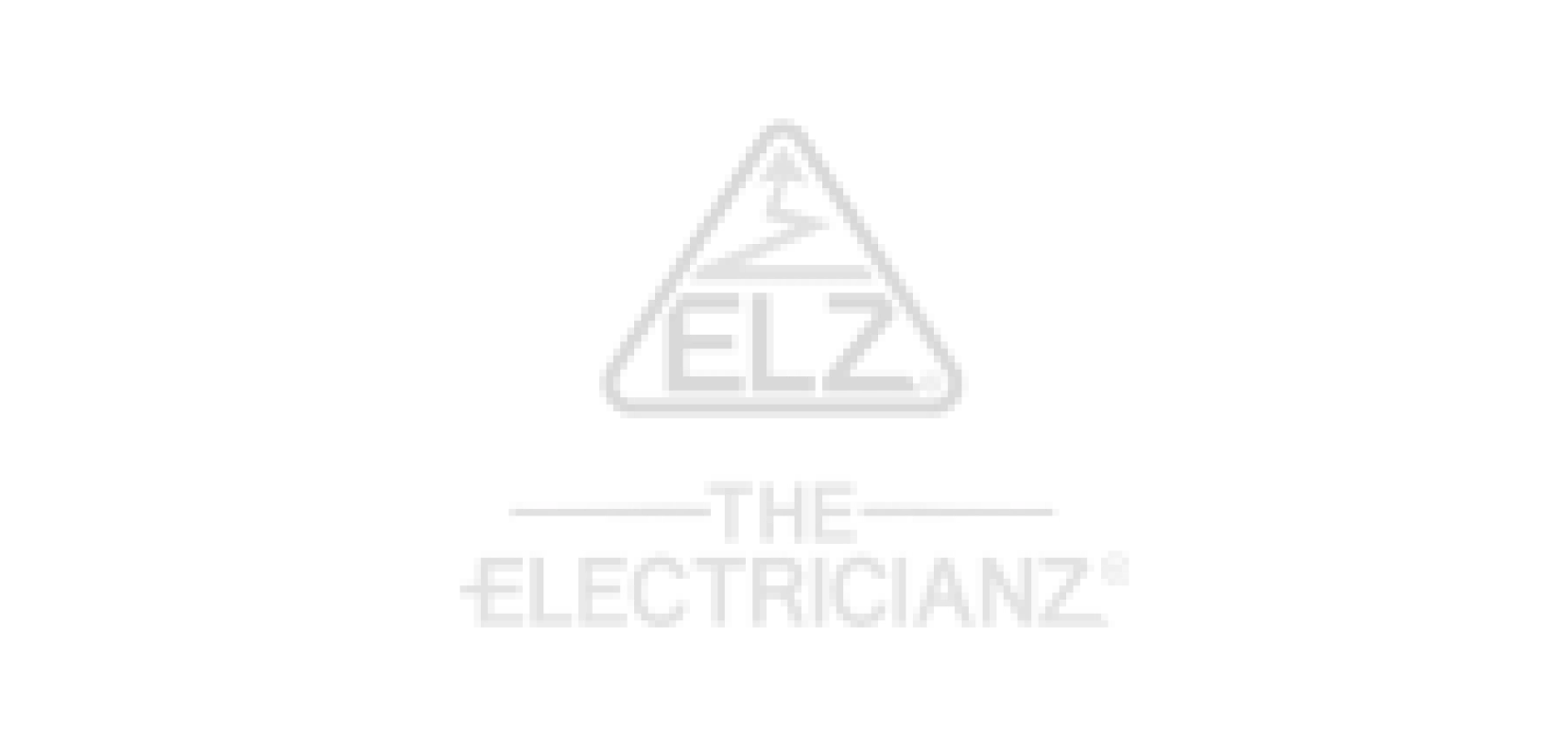 THE ELECTRICIANZ