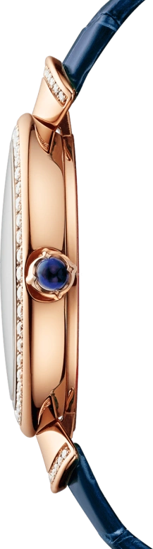 Bulgari,Divas' Dream 37mm,37mm,Rose Gold,Automatic,42hours,In-house Caliber,102741