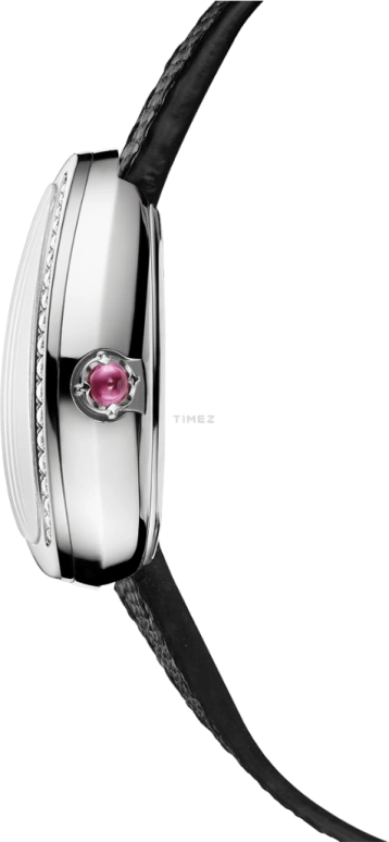 Bulgari,Serpenti 32mm,32mm,Stainless Steel,Black,Quartz,Sapphire,Crystal Glass,Other,102921