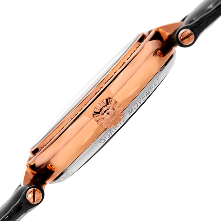 Burgi,Other 38mm,38mm,Composite,Silver,Quartz,Hardlex,Round,BUR150BKR