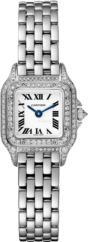 Cartier Panthère de Cartier WJPN0046