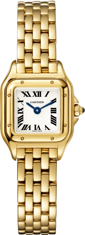 Cartier,Panthère de Cartier 25x19mm,25x19mm,Yellow Gold,Silver,Quartz,Sapphire,Crystal Glass,Square,WGPN0016