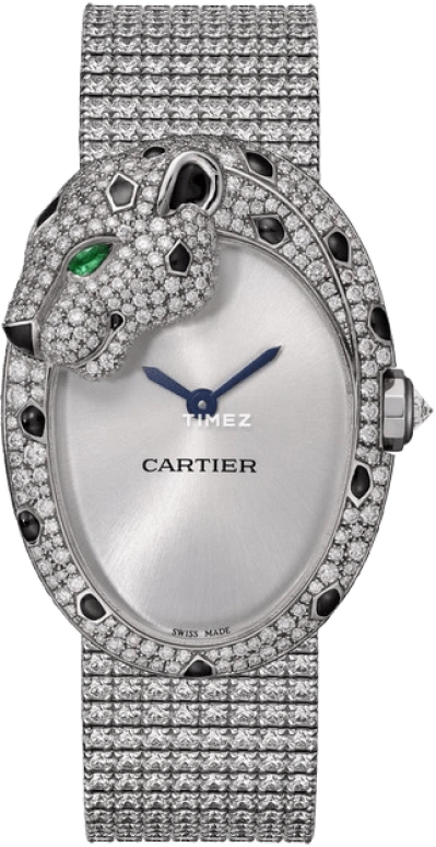 Cartier High Jewelry Watches HPI01196