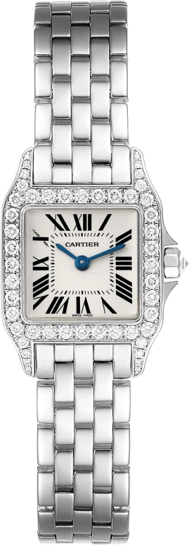 Cartier Santos de Cartier WF9003Y8