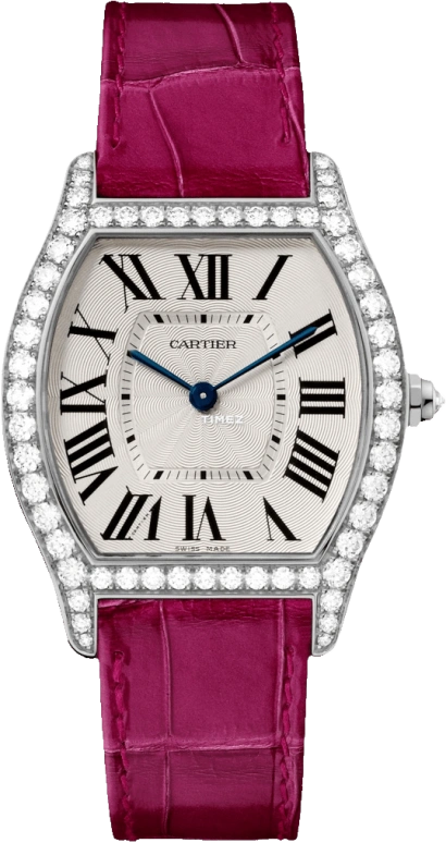 Cartier Tortue WA501009