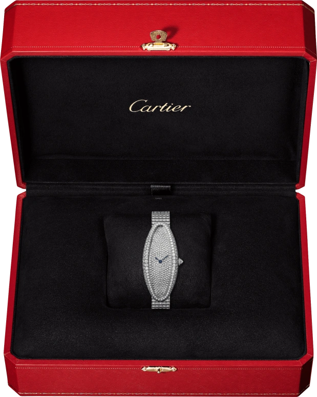 Cartier,Baignoire 47x21mm,47x21mm,White Gold,Silver,Handwound,38hours,In-house Caliber,HPI01306