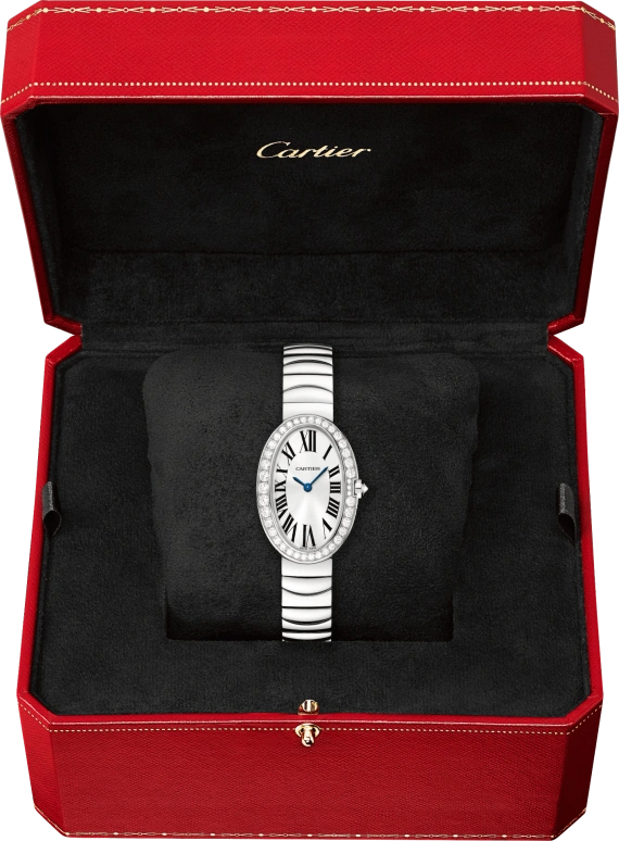 Cartier,Baignoire 31.60x23.30mm,31.60x23.30mm,White Gold,Silver,Quartz,Sapphire,Crystal Glass,Oval,WB520006