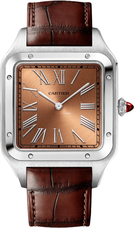 Cartier Santos de Cartier WGSA0113