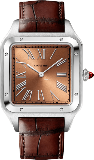 Cartier Santos de Cartier WGSA0113