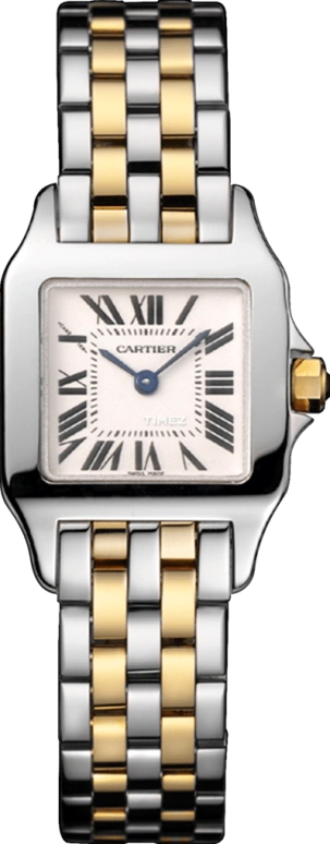 Cartier Santos de Cartier W25066Z6