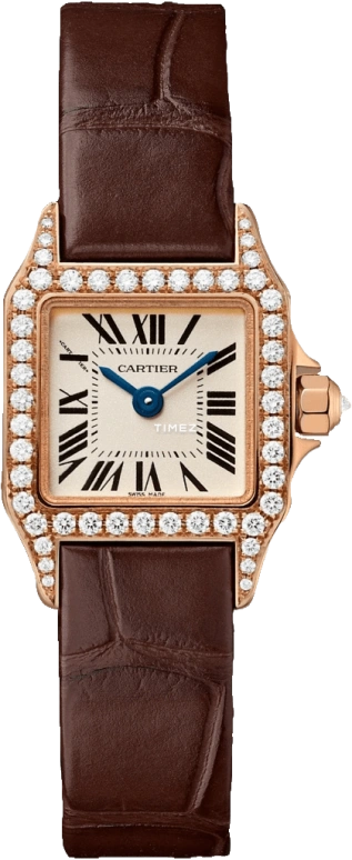 Cartier Santos de Cartier WF902006