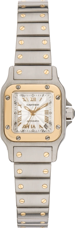 Cartier Santos de Cartier W20045C4