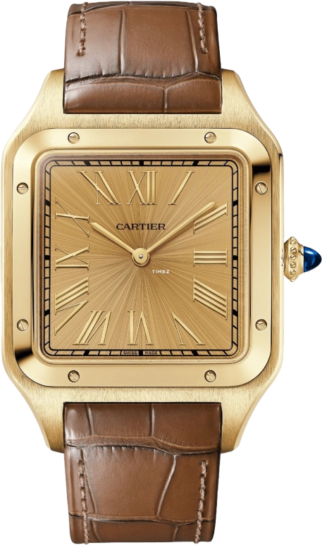 Cartier Santos de Cartier WGSA0111