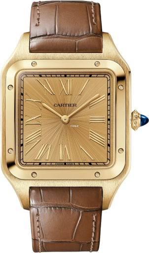 Cartier Santos de Cartier WGSA0111