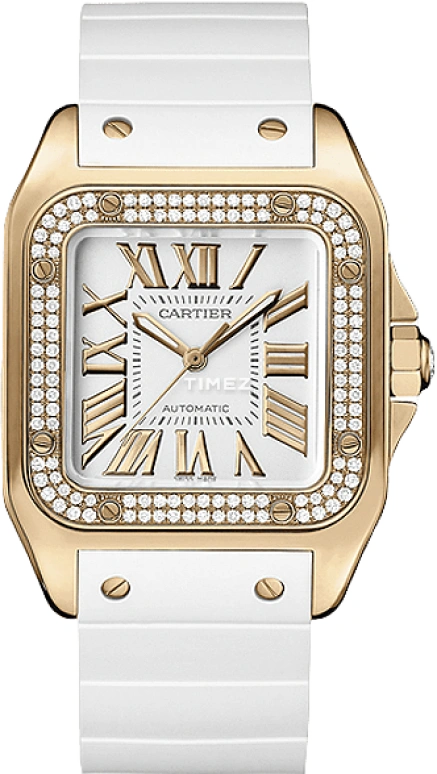 Cartier Santos de Cartier WM50450M