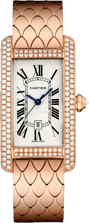 Cartier Tank WB710010