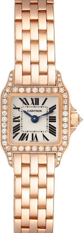 Cartier Santos de Cartier WF9011Z8