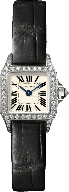 Cartier,Santos de Cartier 24mm,24mm,White Gold,Silver White,Quartz,In-house Caliber,Sapphire,Crystal Glass,WF902005