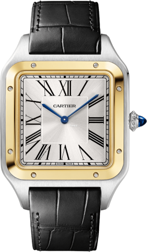 Cartier Santos de Cartier W2SA0034