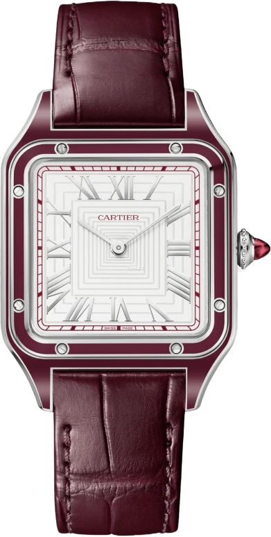 Cartier Santos de Cartier WGSA0053