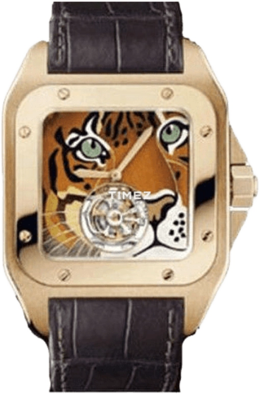 Cartier Santos de Cartier HPI00328