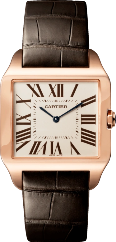 Cartier Santos de Cartier W2006951